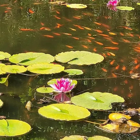 Tente-cabane En Quercy